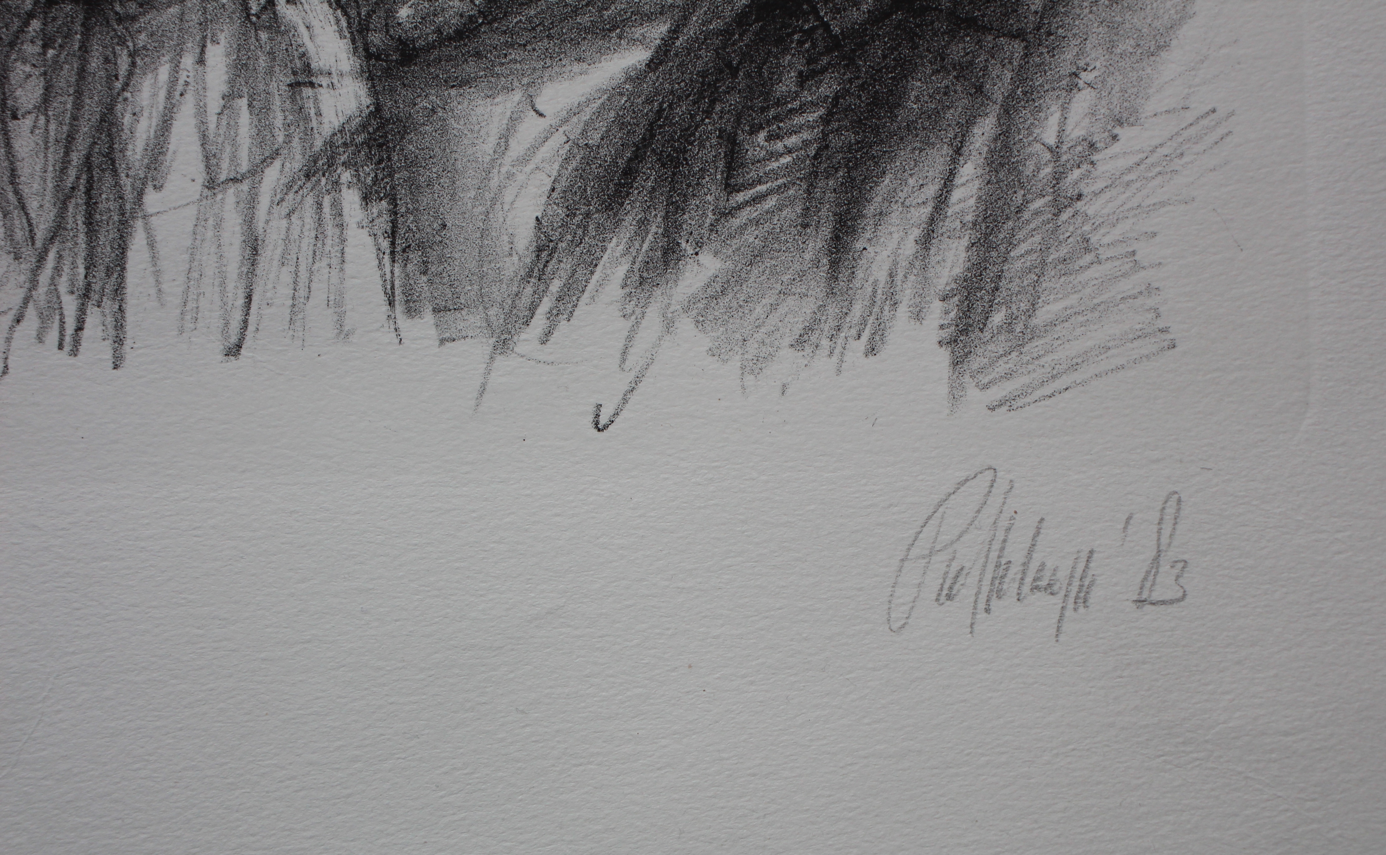 Piet Klaasse - litho: Der Taube - 1983 kopen? Bied vanaf 35!