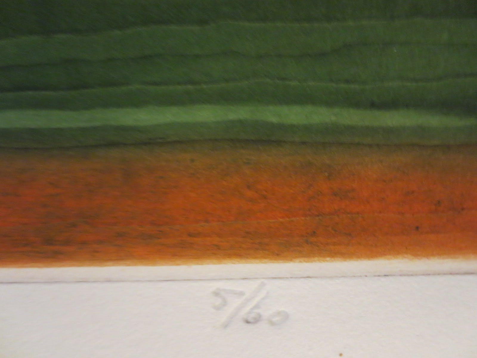 Paul Elshout - vrouw kopen? Bied vanaf 50!