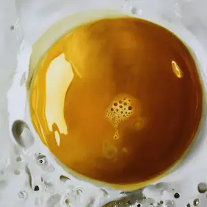 Tjalf Sparnaay - Ei / Egg kopen? Bied vanaf 365!