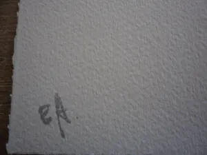 Peter Klashorst - Litho. Titel, "Pregnant" . kopen? Bied vanaf 35!