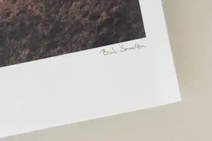 Sarolta Ban - 'Geboren om wild te zijn' (2014) kaufen? Bieten Sie von 75!