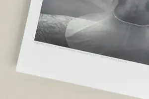 Dariusz Klimczak - 'Night Fly' (2011) - GRATIS VERZENDING kopen? Bied vanaf 70!