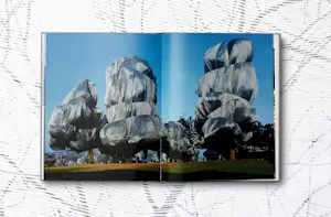 Christo - XXL Book Wrapped Trees + print + originele stof, gesigneerd&genummerd - Taschen kopen? Bied vanaf 539!