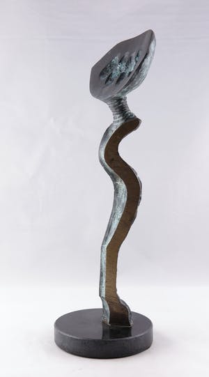 Desiree Tonnaer - Brons, Porteur de graines kopen? Bied vanaf 350!