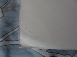 Ada Breedveld - Zeefdruk,Titel, "Vlieger". kopen? Bied vanaf 50!