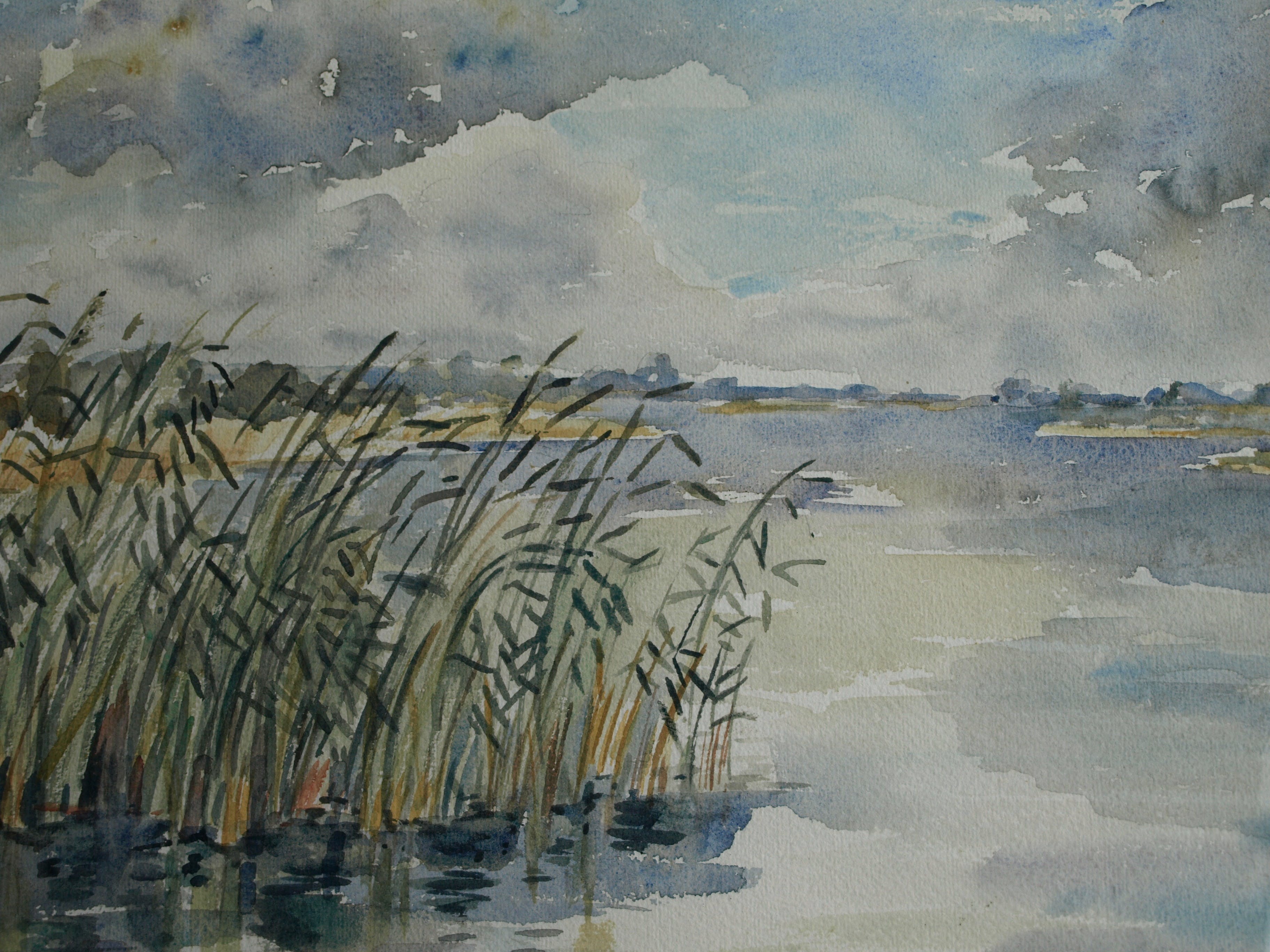 Niet of onleesbaar gesigneerd - Aquarel , Rietkraag – Watergezicht - gesigneerd & ingelijst – 1964  kopen? Bied vanaf 1!