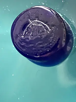 Paul Kedelv - Coquille kopen? Bied vanaf 69!