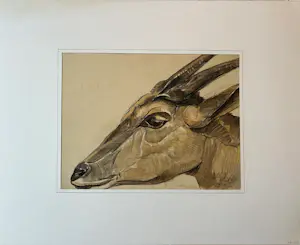 Chris Le Roy - Livingstone's eland - antiloop kopen? Bied vanaf 35!