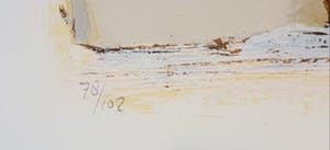 Hans Vanhorck - zeefdruk, The symbol remains, opl.102 kopen? Bied vanaf 20!