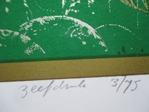 Jos Muris - Zeefdruk "Een landschap voor Tolkien" kopen? Bied vanaf 40!