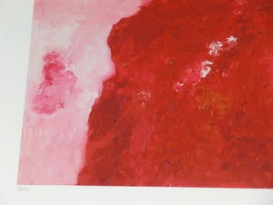 Armando - Kopf: Giclee op katoenpapier. Spetterende kleuren! Nu laatste keer vanaf € 1 ! kopen? Bied vanaf 1!