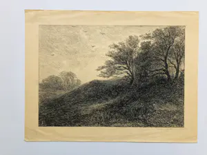 Buy Carel Nicolaas Storm van 's-Gravesande - landschap met vogels? Bid from 1!