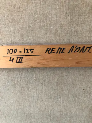 Jörg Remé - Paradijs vogel kopen? Bied vanaf 100!