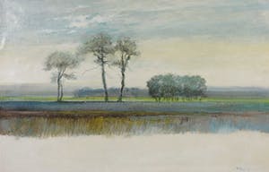 Harold Kleyn - Olieverf op doek, Landschap Vlagtwedde - Ingelijst kopen? Bied vanaf 1!