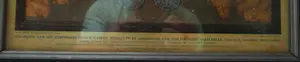 Buy Chris van der Hoef - Stamboom koningshuis? Bid from 25!