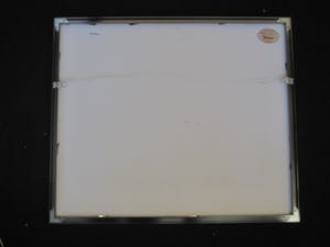 Sees Vlag - Fraaie Zeefdruk ’s Gravenhage Planetarium Haagse Courant gebouw - gesigneerd kopen? Bied vanaf 10!