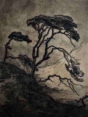 Toon de Jong - Grote in 1928 vervaardigde Ets "Landschap Schouwen Duiveland Haamstede" kopen? Bied vanaf 20!