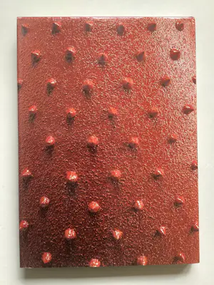 Mieke Groot - Behind Glass - boekwerk kopen? Bied vanaf 35!