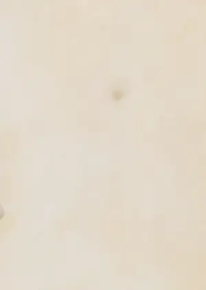 Rein Snapper - Aquarel, 's-Hertogenbosch - Ingelijst kopen? Bied vanaf 1!