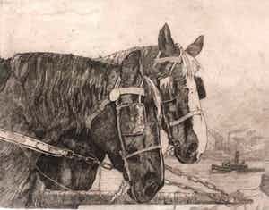 Jan Sirks - C459-3 - Paarden verkocht voor € 50!