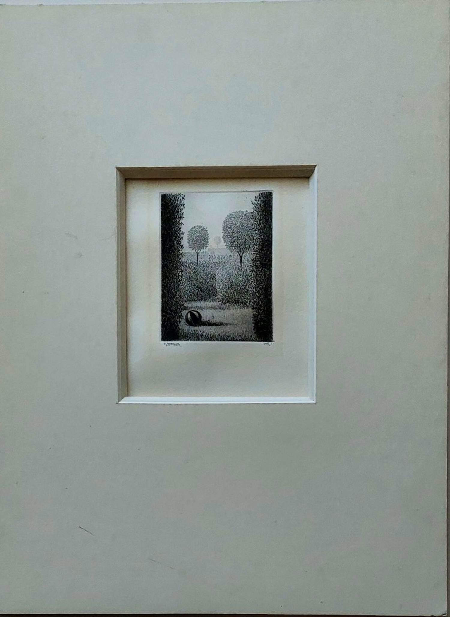 Dolf Zwerver - Labyrint met bal kopen? Bied vanaf 100!