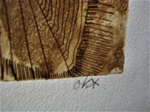Kees Okx - Unica exemplaar (nr.3 van totaal 5) handgekleurde Litho - "entre sienne et ocre" kopen? Bied vanaf 28!