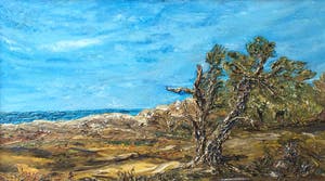 Niet of onleesbaar gesigneerd - C4165-3 - Duinlandschap met zeegezicht kopen? Bied vanaf 1!