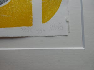 David van de Kop - TEMPEL-SCENE kopen? Bied vanaf 40!