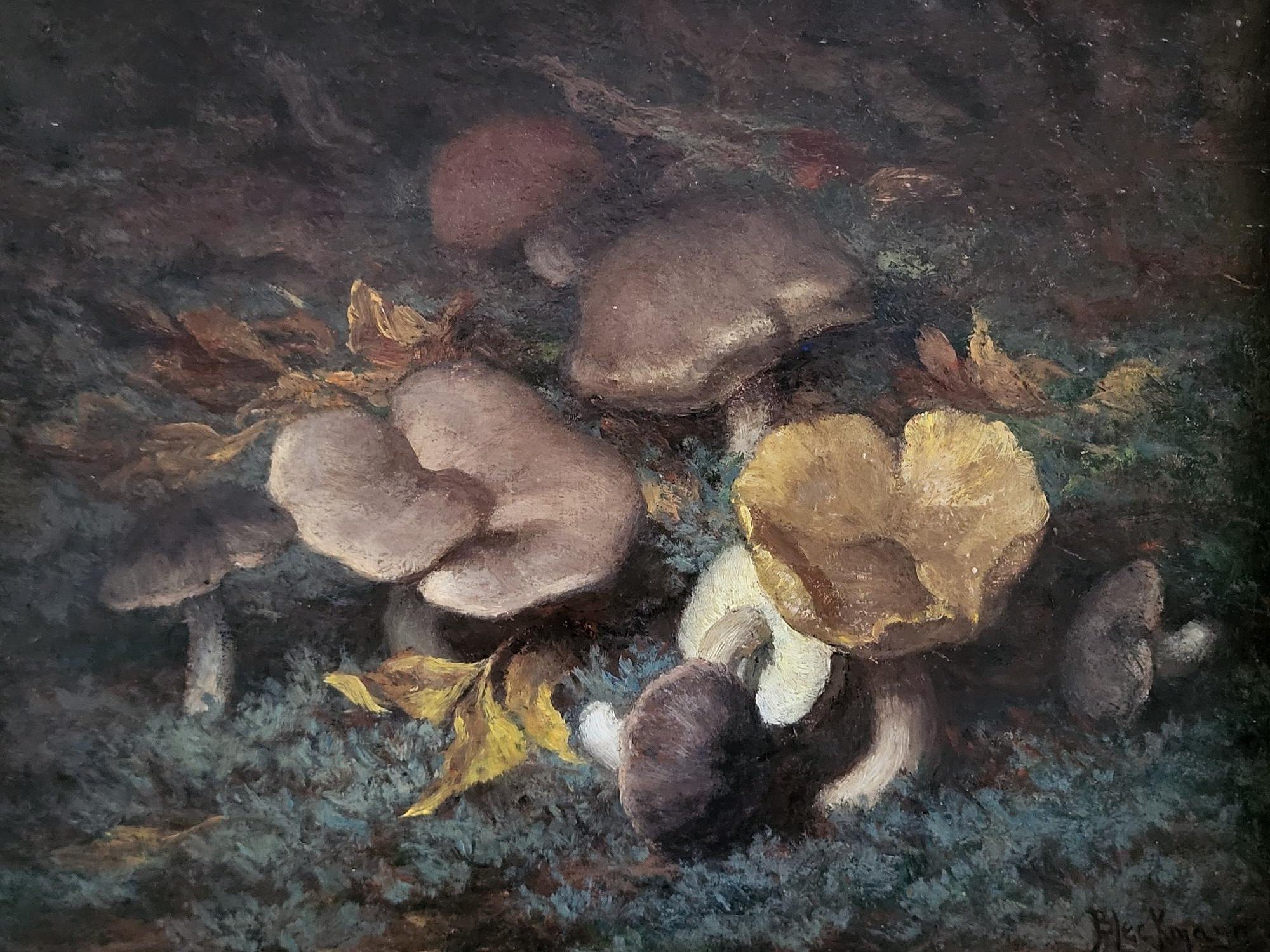 Tjieke Roelofs-Bleckmann - "Paddestoelen". kopen? Bied vanaf 225!
