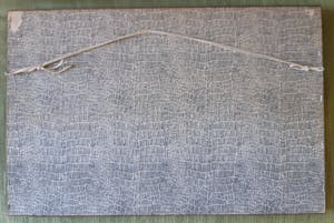 Roger Hebbelinck - Platteland kopen? Bied vanaf 35!