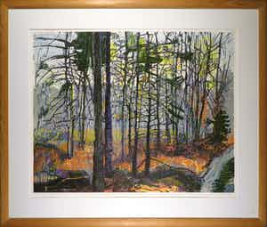 Vincent van Ojen - Houtsnede, Z.T. Bosgezicht - Ingelijst (Zeer groot) verkocht voor € 150!