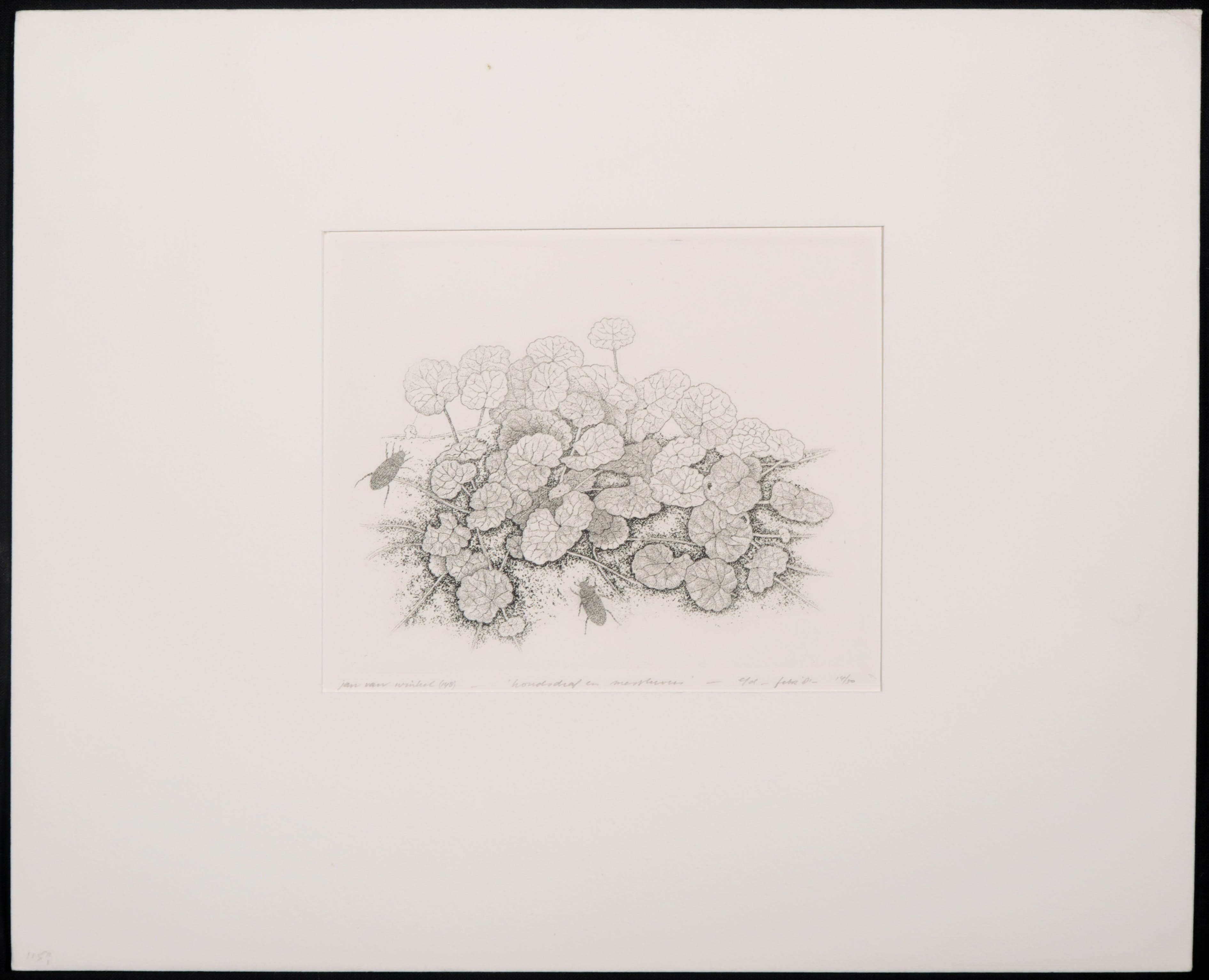 Jan van Winkel - Ets, Hondsdraf kopen? Bied vanaf 35!