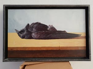Adolfo Ramon Torcal - Dode kauw kopen? Bied vanaf 400!