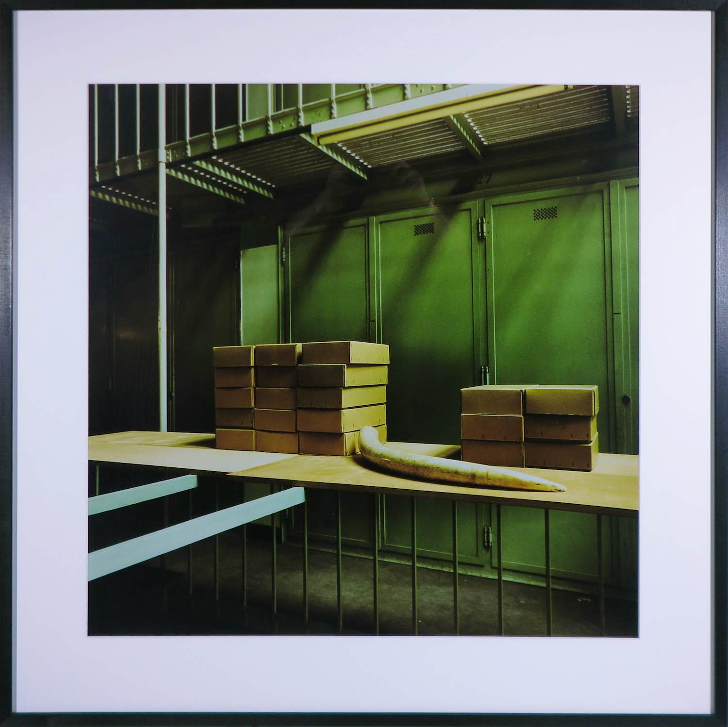 Paul den Hollander - Fotografie, Z.T - Ingelijst verkocht voor € 50!