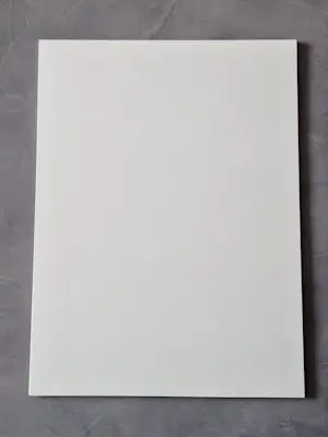 Theo Beerendonk - Jaren 60 inkt tekening "voluptueus vrouwelijk naakt" - gesigneerd kopen? Bied vanaf 48!