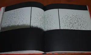 Michal Rovner - the Space between - hardcover 2002 - Whitney Museum New York kaufen? Bieten Sie von 125!