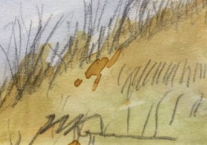 Willem Kooiman - Vier landschappen kopen? Bied vanaf 30!