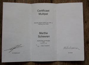 Martha Scheeren - Multiple van zeefdruk op plexiglas - 2003 kopen? Bied vanaf 129!