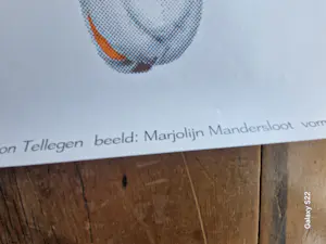 Marjolijn Mandersloot - Een Streep kopen? Bied vanaf 25!