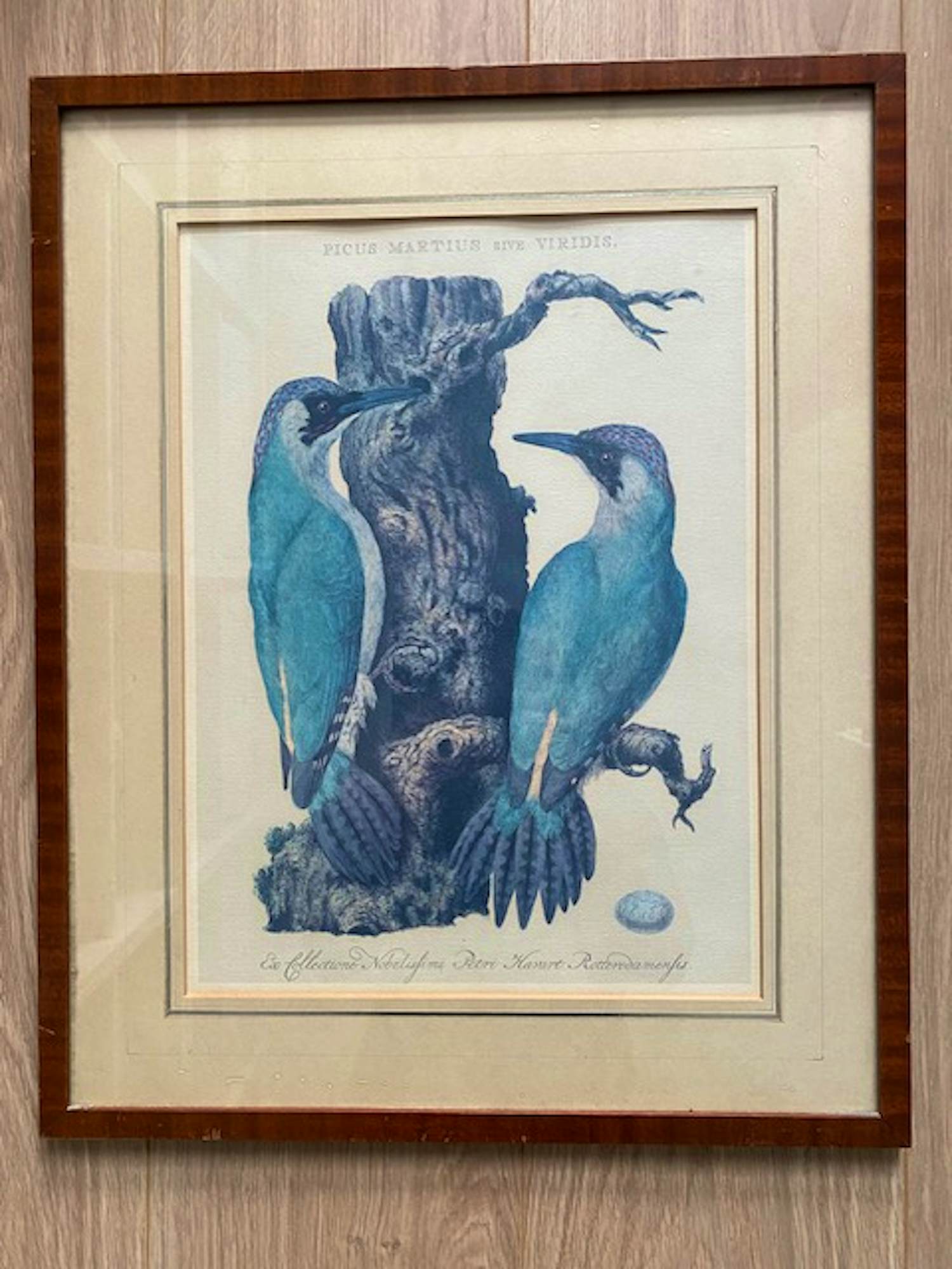 Jan Christiaan Sepp - Fraaie litho naar Jan Christiaan Sepp & Nozeman 18e eeuw kopen? Bied vanaf 40!