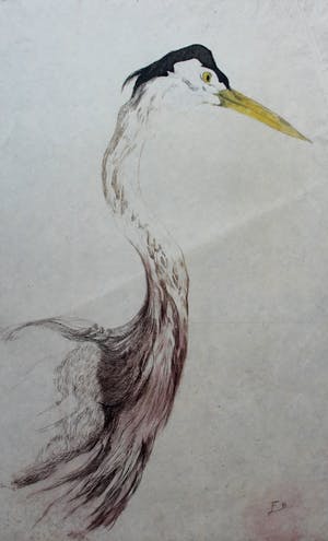 Frederika Broeksmit - Ets: Vogel kopen? Bied vanaf 30!