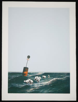 Hans Frisch - Zeefdruk, Z.T. Schapen op zee kopen? Bied vanaf 35!