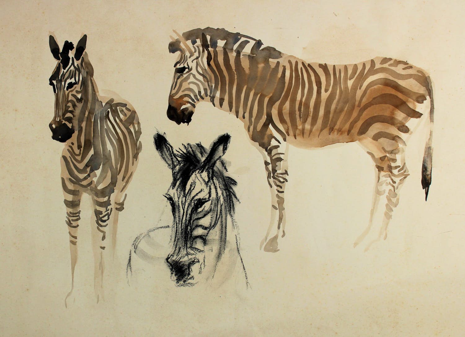 Jan A.M.J. Hurx - Zebra's kopen? Bied vanaf 25!