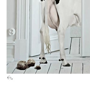 Mr. Strange - Vaches d'appartement kopen? Bied vanaf 50!