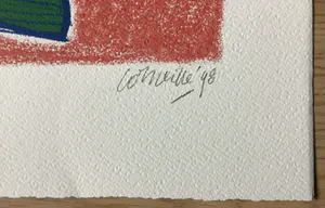 Corneille - Regard sur l'oiseau kopen? Bied vanaf 160!