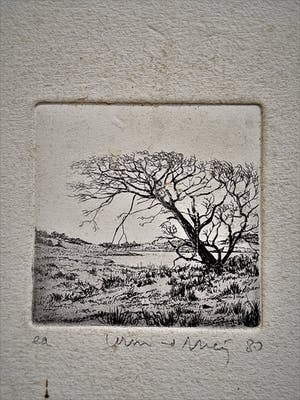 Wim van der Meij - Mooie Ets - uniek e.a. exemplaar - "landschap" - potloodgesigneerd kopen? Bied vanaf 21!