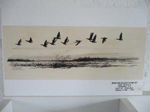 Ari Stolk - Pentekening: vogels in vlucht kopen? Bied vanaf 10!