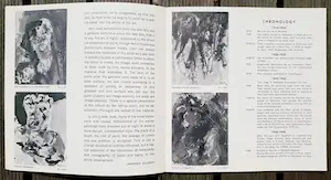 Asger Jorn - Complete publicatie Lefebre (NY) met originele litho kopen? Bied vanaf 95!