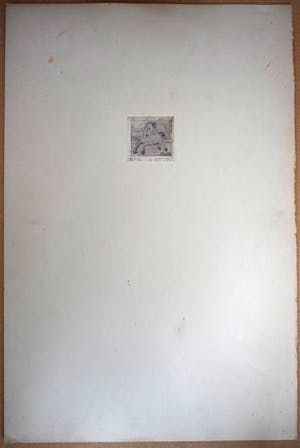 Enno Brokke - Veulen in de wei kopen? Bied vanaf 50!