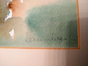 Hannelore Groot - Noordeloos - Margrieten kopen? Bied vanaf 1!
